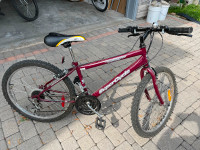 Supercycle 1500 Mountain Bike, 24-in