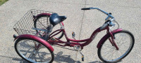 Schwinn adult bike