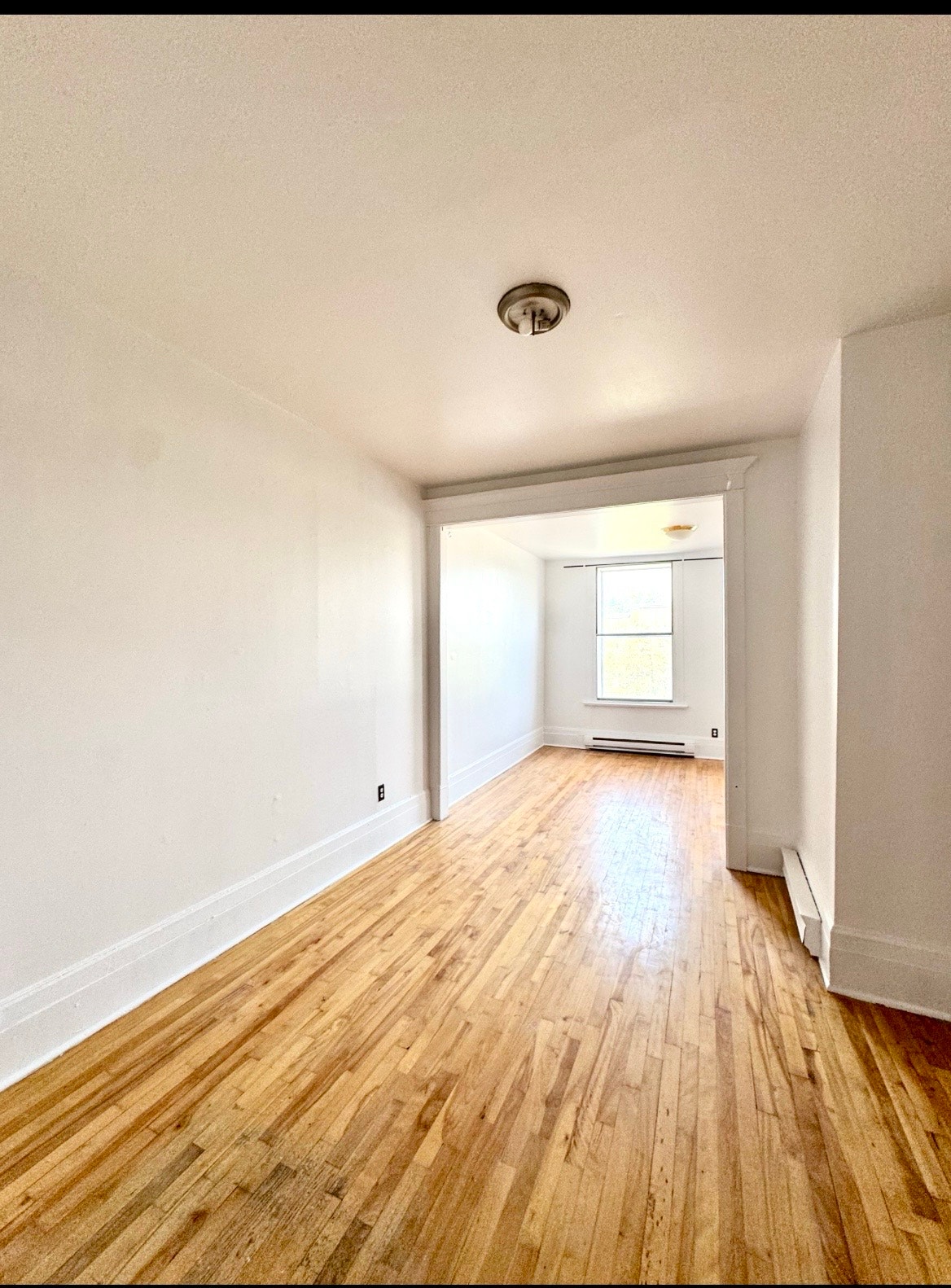2226 Avenue du Mont-Royal E — photo 1