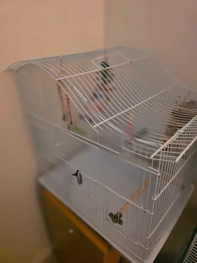 cages et accessoires pour oiseaux exotiques , View more