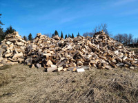 Bulk Firewood 95% Hard maple