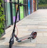 Electric scooters 