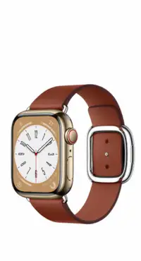 Apple Watch Series 8 stainless steel Gold GPS+cellular 