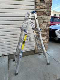 Ladder  