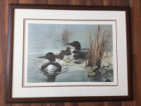 Marten Visser's "Tranquility - Common Loon" Limited Edition Prin