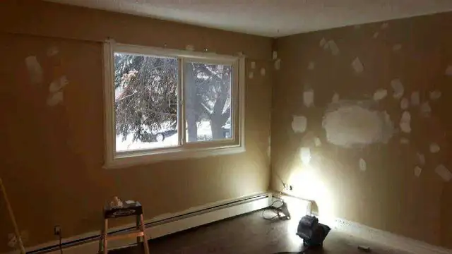 Highly Skilled Painter Available (reasonable pricing)537087594170961925
