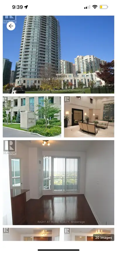 one bedroom finch yonge rent
