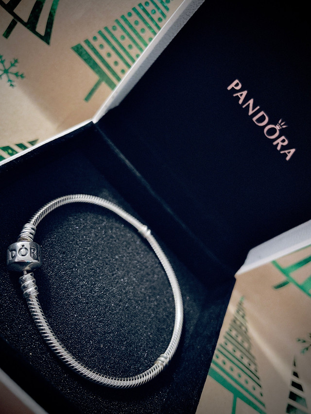 Pandora Charm Bracelet for sale **NEW** in Jewellery & Watches in Hamilton - Image 2
