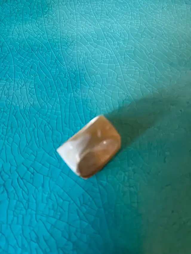 Unique shell ring63660926973059122