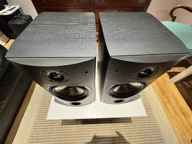 PSB Image B25 Speakers in Great Condition in Speakers in Markham / York Region - Image 5