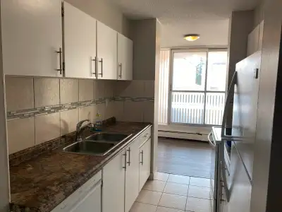 2 Bedroom apartment, newly renovated