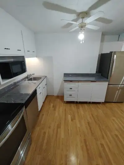 1-Bedroom Apartment for Rent Located on a quiet street, just 3 minutes from Health Sciences North (H...