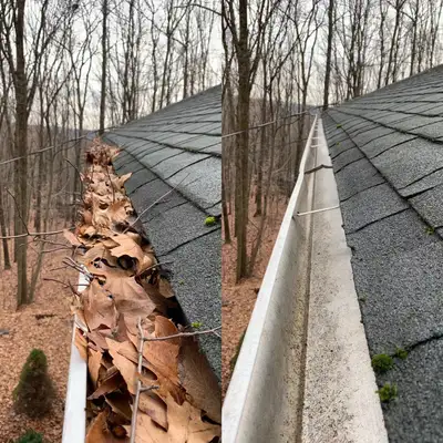 Affordable Gutter Cleaning, View more