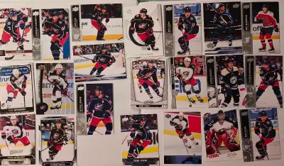 All cards in Mint condition pick up only