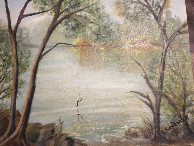 Lake thru the mist in Arts & Collectibles in Ottawa - Image 2