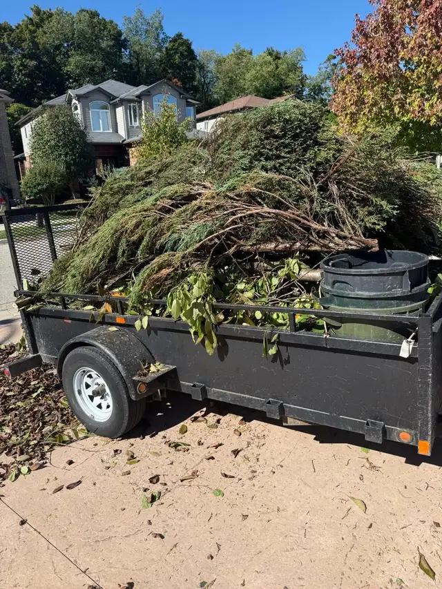 yard clean ups 460987935553628160