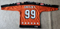 Wayne Gretzky Vintage CCM Allstar Jersey 