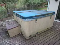 Free Beachcomber  hot tub