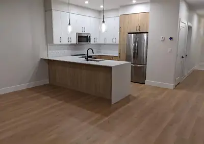 Seeking - quiet, clean, respectful tenant in a brand new upscale 3 bedroom house starting Sept, 2026...
