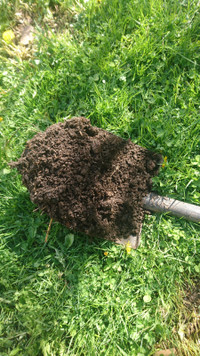 Primary decomposer mushroom compost garden soil fertilizer