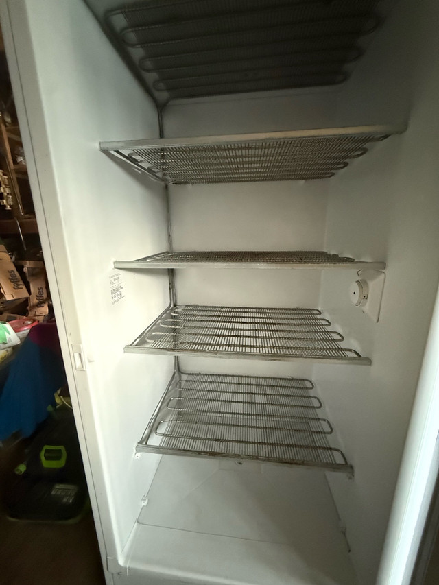 stand up freezer  in Freezers in Ottawa - Image 3