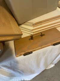 Cabinet doors with hardware 