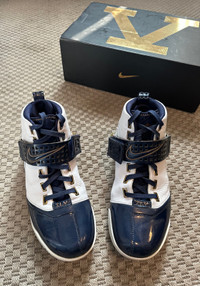 Nike Lebron V shoe / sneaker