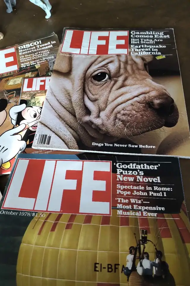 6 Life Magazines, One is 1950, 1978-1980, Very Good Condition in Arts & Collectibles in Stratford - Image 5