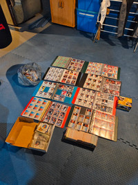 Hockey Card Collection