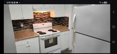 Bright and well-maintained 2-bedroom, 1-bathroom basement suite located in a quiet, family-friendly...