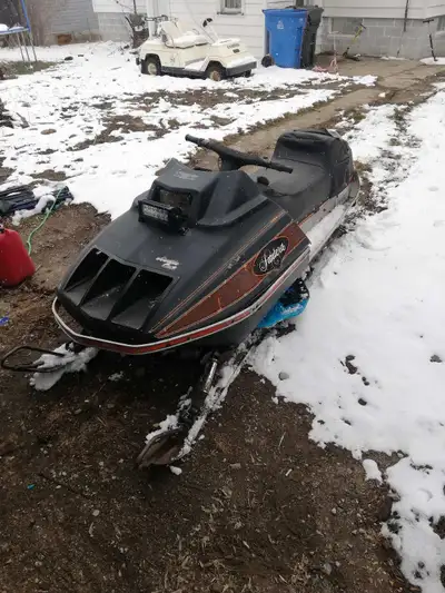I'm looking for a project snowmobile. Doesn't matter if it's running or not. Not picky on brand or s...
