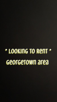 Looking for rental 