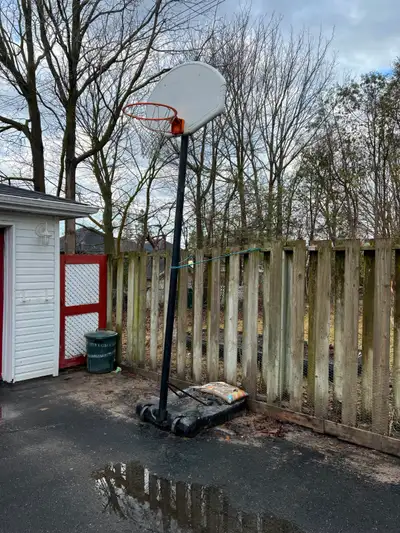Free Basketball net, View more