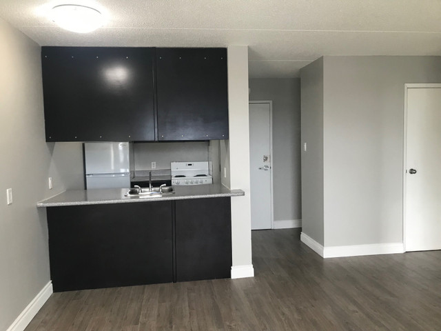 One bedroom downtown apartment for sublet in Long Term Rentals in Winnipeg - Image 2