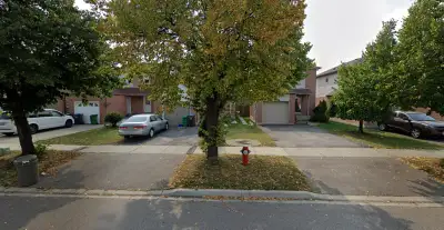 Bachelor Apt for rent