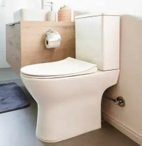 Toilet Vanity Shower Faucet Replace Repair Install