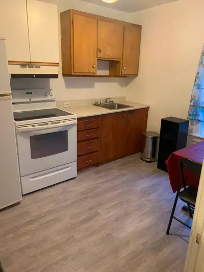 Room for rent in centretown, close to Carleton and Ottawa U, View more