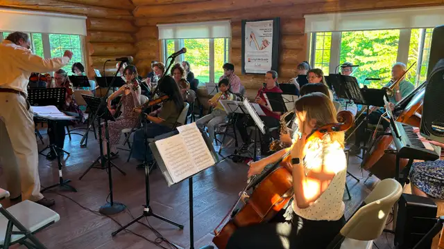 Calling for musicians! Appel aux musiciens et musiciennes!