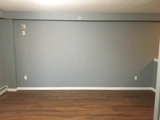 painting services539353942412513285