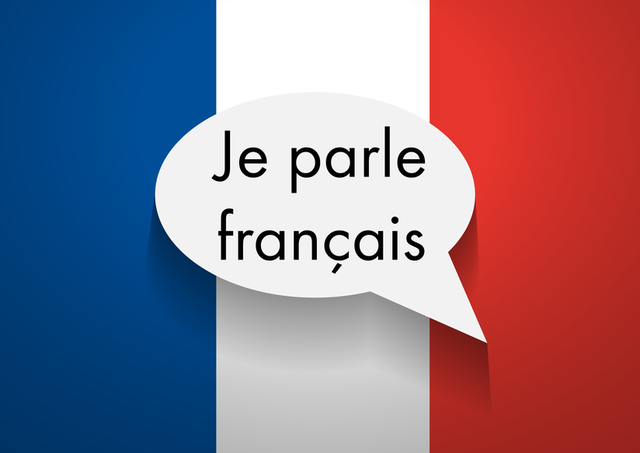 Private and Group French Classes64520067493763120