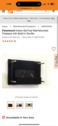 Paramount Indoor Gel Fuel Wall-Mounted Fireplace with Build in S