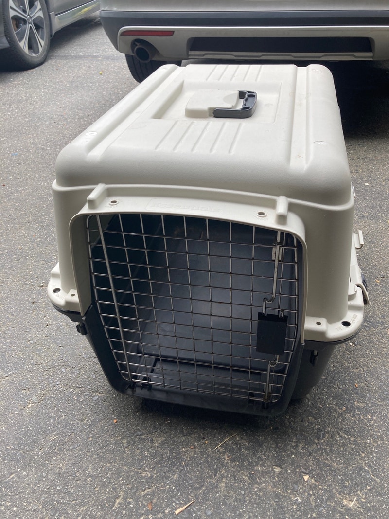Dog Kennel Free Stuff Sudbury Kijiji
