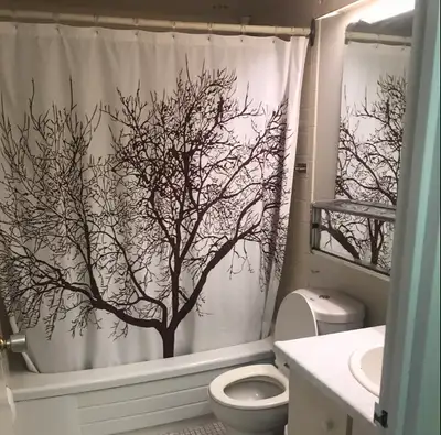 1 bedroom furnished apartment with in suite laundry and dishwasher and all utilities (hydro, gas) in...