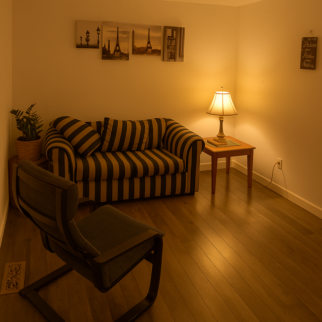 Chambre à louer Lévis toute meublée- étudiant ou travailleur in Room Rentals & Roommates in Lévis - Image 3