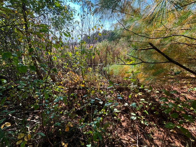 Terrain à vendre — photo 2