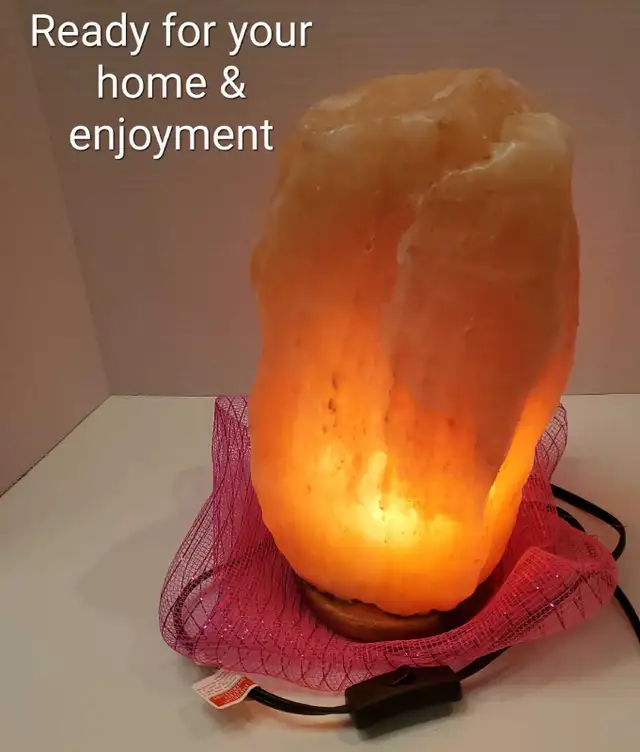 Beautiful Large Salt Lamp - $55 - Pick up in Orleans ON  in Indoor Lighting & Fans in Ottawa - Image 9