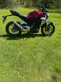 Honda CB 300 R