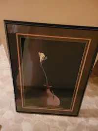Custom framed picture