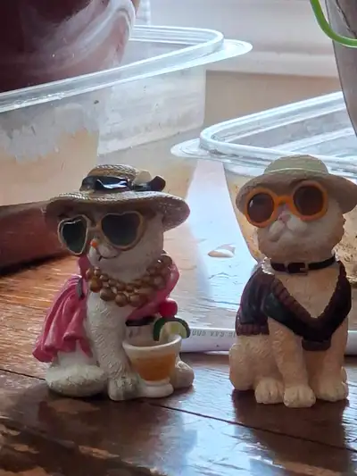 Two cats with sunglasses and hats, View more