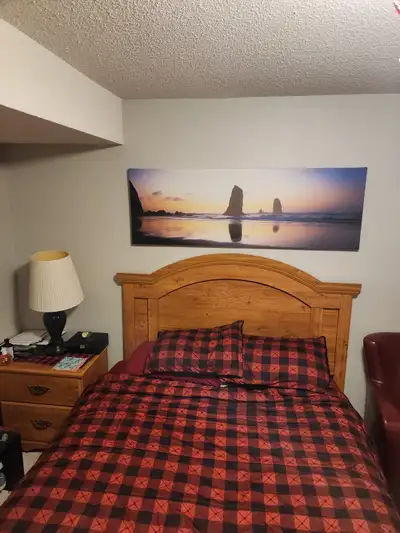 Furnished Room in lower level